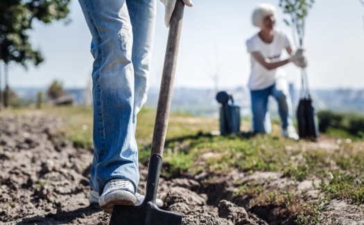 People planting trees